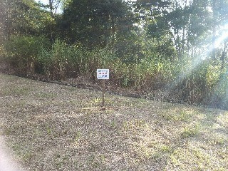 Imagem 2 de 3 de Terreno - Mdcsp0016 - 3199372