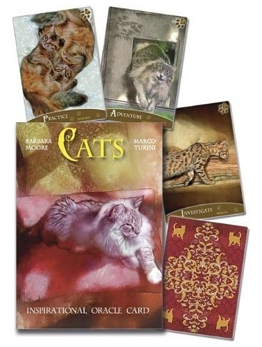 Cats Inspirational Oracle Cards Cartas - Barbara Moore