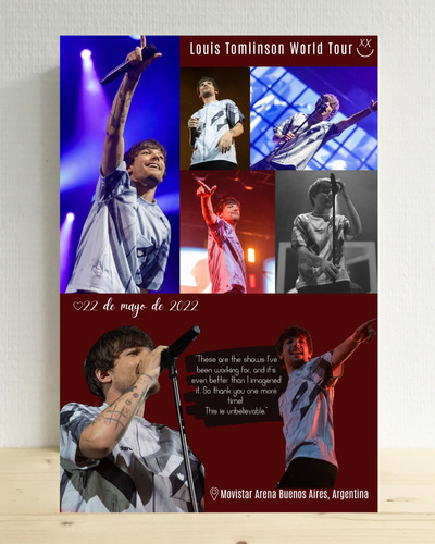 Louis Tomlinson Cuadro Movistar Arena Personalizado 20x30 