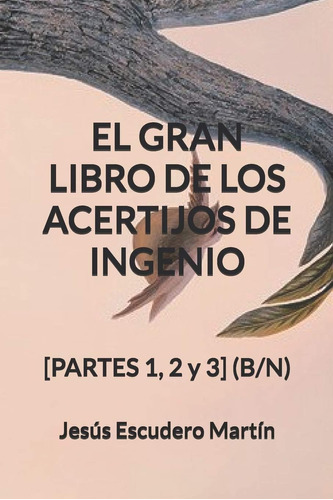 Libro: El Gran Libro De Los Acertijos De Ingenio: [partes 1,