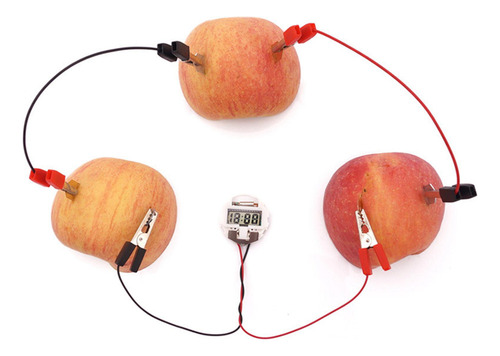 4 Kit De Experimentos Científicos Con Batería De Frutas,