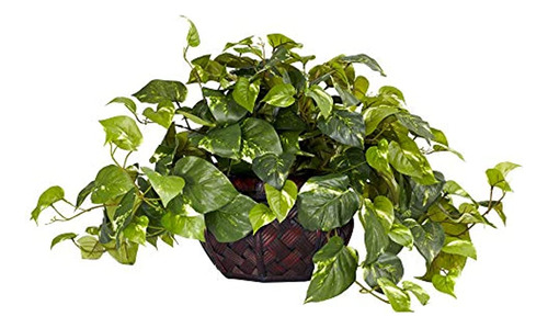 Casi Natural 6681 Pothos Con Jarrón Decorativo Seda Verde Pl