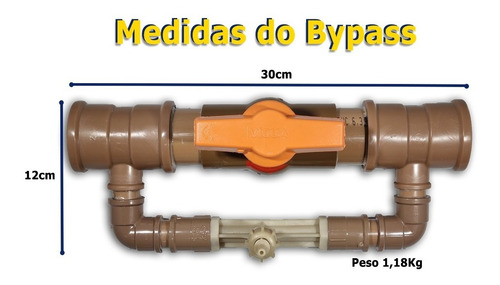 Aparelho Ozonizador Panozon Blue Star 4000 Kit Desmontavel