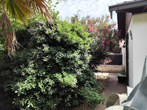 Casa En Venta De 2 Dorm. En Macul
