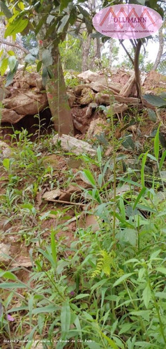 Chácara Para Venda Em Ribeirão Pires, Pilar Velho - 000333333_2-1163334