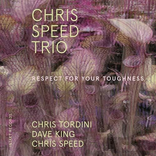 Cd Respect For Your Toughness - Speed / Tordini / King