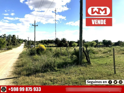 Venta Terreno En Trinidad Flores 8000 M2 40 Mts X 200 Mts