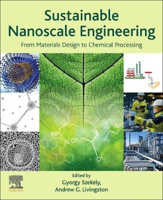 Libro Sustainable Nanoscale Engineering : From Materials ...