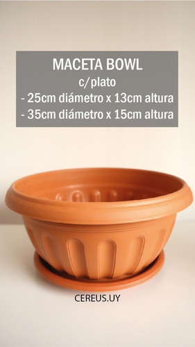 Maceta De Plástico Bowl Con Plato 35cm De Diámetro, 2 Piezas