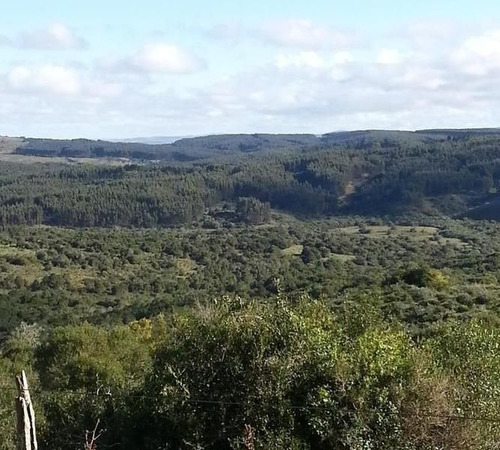 Quinta En Venta En Garzon