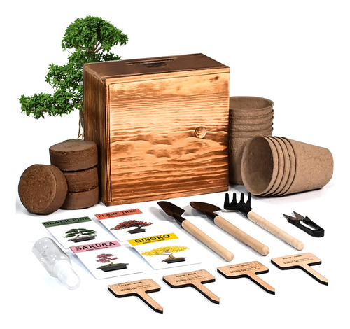 Kit De Arbol Bonsai, 4 Semillas De Arbol Bonsai Con Kit Comp