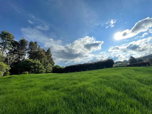 Hermoso Lote Ubicado En El Alto De Las Palmas