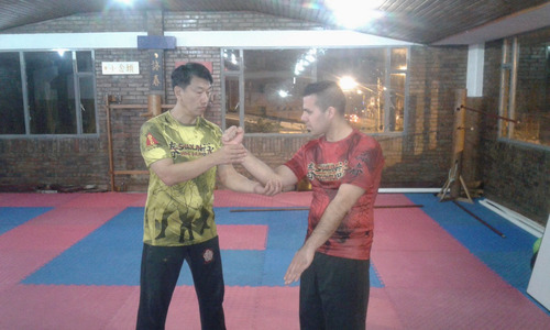 Imagen 10 de 10 de Wing Chun Kung Fu Belgrano