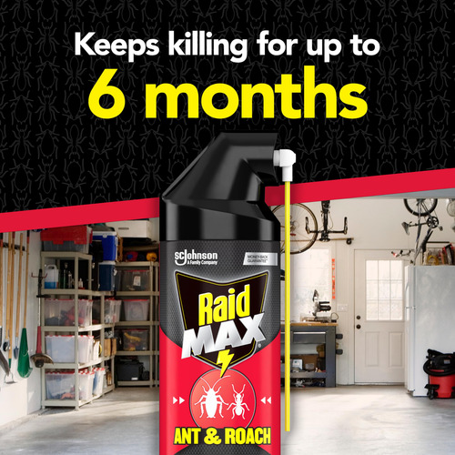 Raid Spray Max Para Hormigas Y Cucarachas 410 Ml 1 Unidad