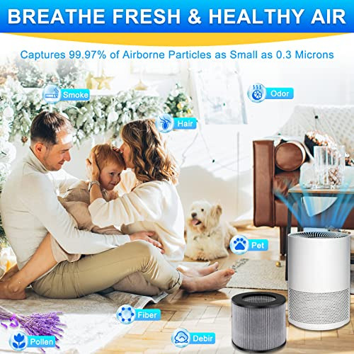Filtro Myair De Repuesto 3 En 1 Para Bissell Myair Personal