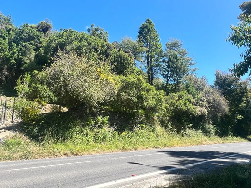 Increíble Sitio De 1564m2 Con Orilla De Lago Villarrica