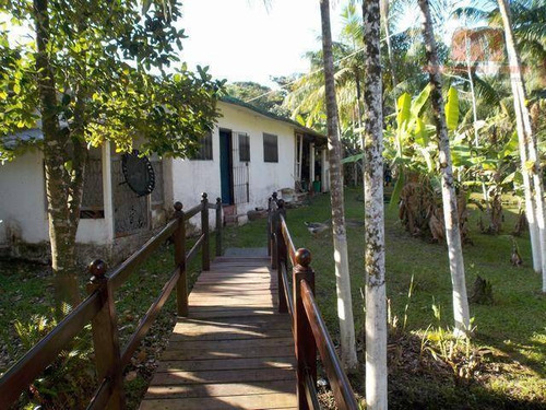Imagem 15 de 30 de Chácara Residencial À Venda, Jardim São Fernando, Itanhaém. - Ch0096