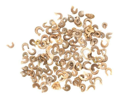 Semillas De Caléndula (caléndula Officinalis)