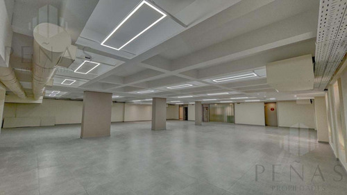 Imagen 11 de 27 de Gran Oportunidad - Piso Corporativo 350 M2 Reciclado Todo A Nuevo -tribunales