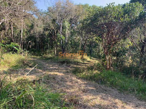 Imagem 5 de 10 de Área À Venda, Mombaça, Itapecerica Da Serra/sp - 4017
