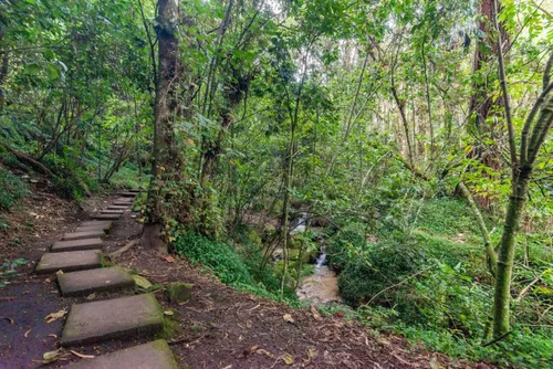 Casa En Venta En Bosque De Pinos. Cod V6939