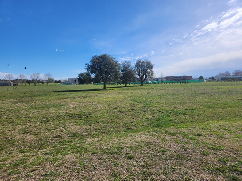 Lote En Chacras La Primavera Golf - Carlos Keen