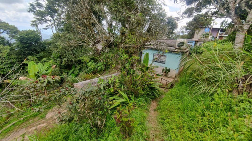 Imagen 5 de 6 de Se Vende Terreno En San Diego De Los Altos Jb