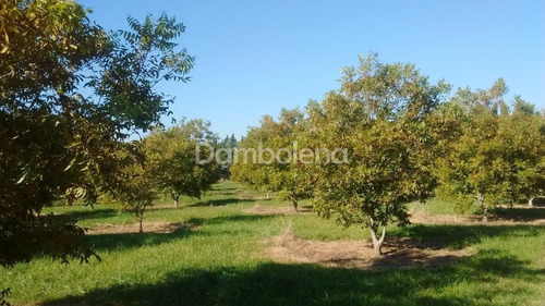 Imagen 21 de 25 de Terreno En Venta O Permuta Ubicado En Punta Indio, Resto De La Provincia