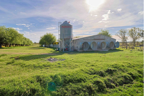 Venta Granja Avícola De 18 Hectáreas, San Jacinto