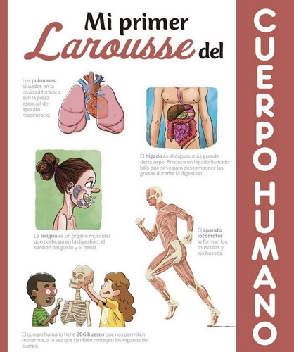 Mi Primer Larousse Del Cuerpo Humano, De Larousse Editorial. Editorial Larousse, Tapa Dura En Español