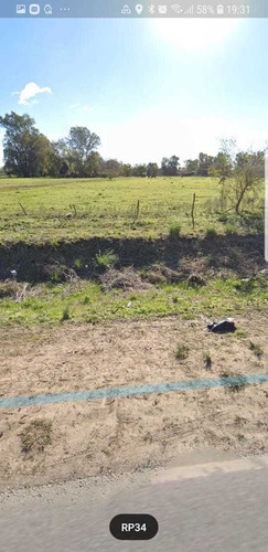 Imagen 3 de 9 de Campo 2,700 Ha. Ubicado Sobre Ruta 34