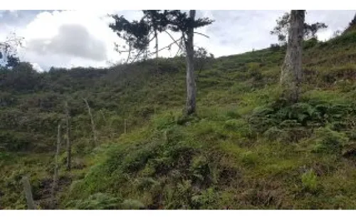 Venta Lote Vereda La Primavera El Peñol(mls#243148)