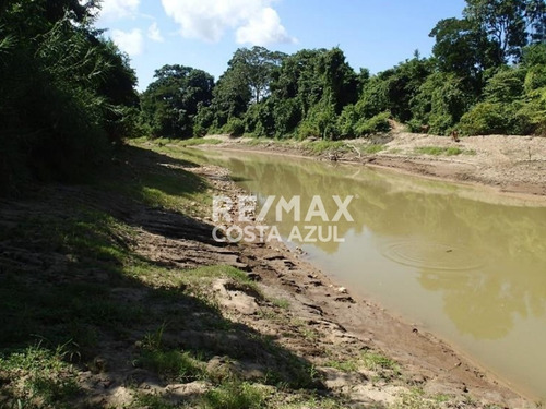 Remax Vende Finca De 80 Hectáreas A Desarrollar Precio De Oportunidad, Sector Riecito, Estado Falcon.