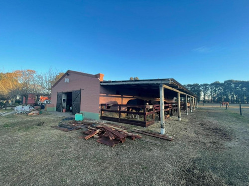 Imagen 11 de 12 de Lote En Venta En Haras San Pablo