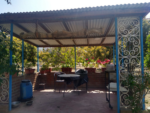 Venta Casa 5hab 3ba Olmué