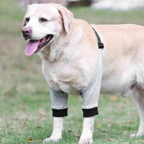 2 Pares Coderas Ajustables For Perro Mascota