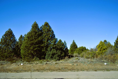 Terreno Lote En Venta Ubicado En Centro De Bariloche, Bariloche, Patagonia