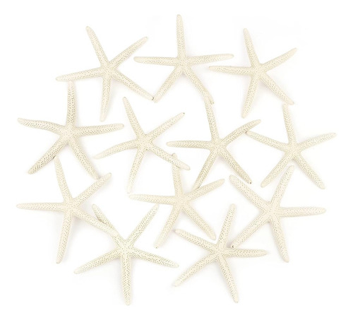~? Jangostor 12 Pcs Starfish 4-5 Pulgadas Ocean Beach Starfi