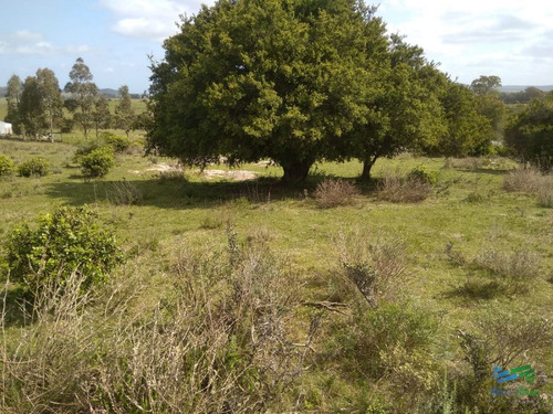 Imagen 19 de 24 de 5 Has Con Casa En Carape A Minutos De P. Edén Y Punta - Zona Rural Zona Rural