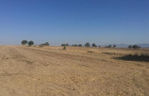 Imagen 4 de 5 de Terreno - San José Chiapa