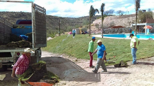 Venta De Pasto En Rollo Tipo Alfombra