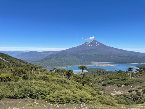 Parque Conguillio/sitios Exclusivos.