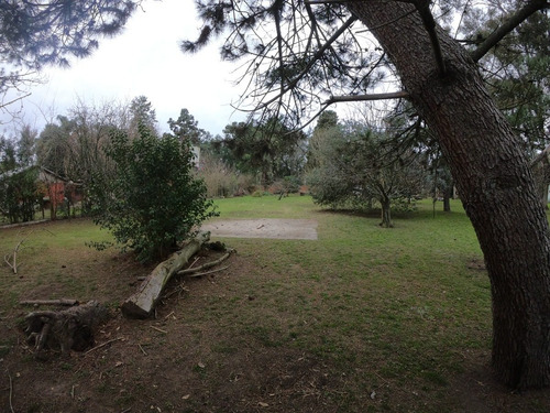 Imagen 4 de 5 de Venta De Lote En Glew, Zona De Casas Quintas, Excelente Ubicacion