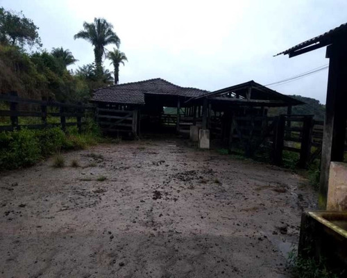 Imagem 12 de 30 de Fazenda - 0132 - 32820420