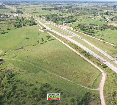 Imagen 17 de 21 de 3,3 Has Sobre Autopista Ruta 14 Colon Entre Ríos