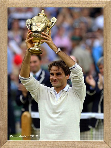 Federer Cuadros Posters Carteles  P108