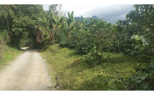Se Vende Finca En Chaguala - Salento