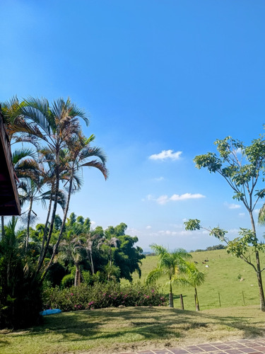 Sítio 48.400m2 Em Localização Privilegiada | Completo