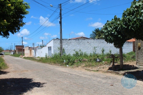 Imagem 10 de 15 de (11115) Loteamento Em Parnamirim - V-11115