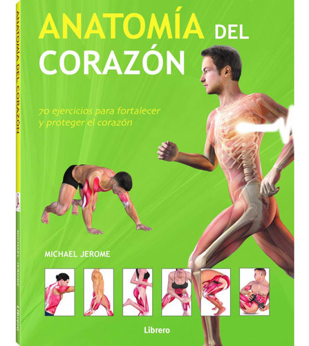 Anatomia Del Corazon(librero)